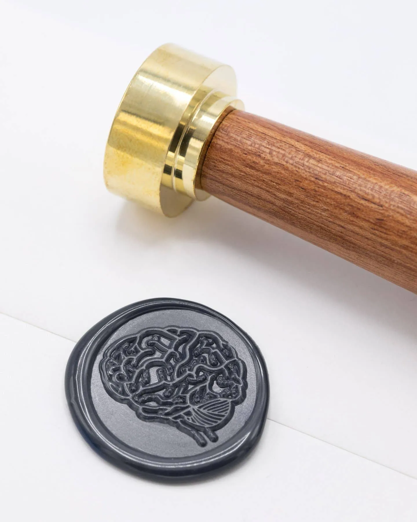 Anatomical Brain Wax Seal Stamp