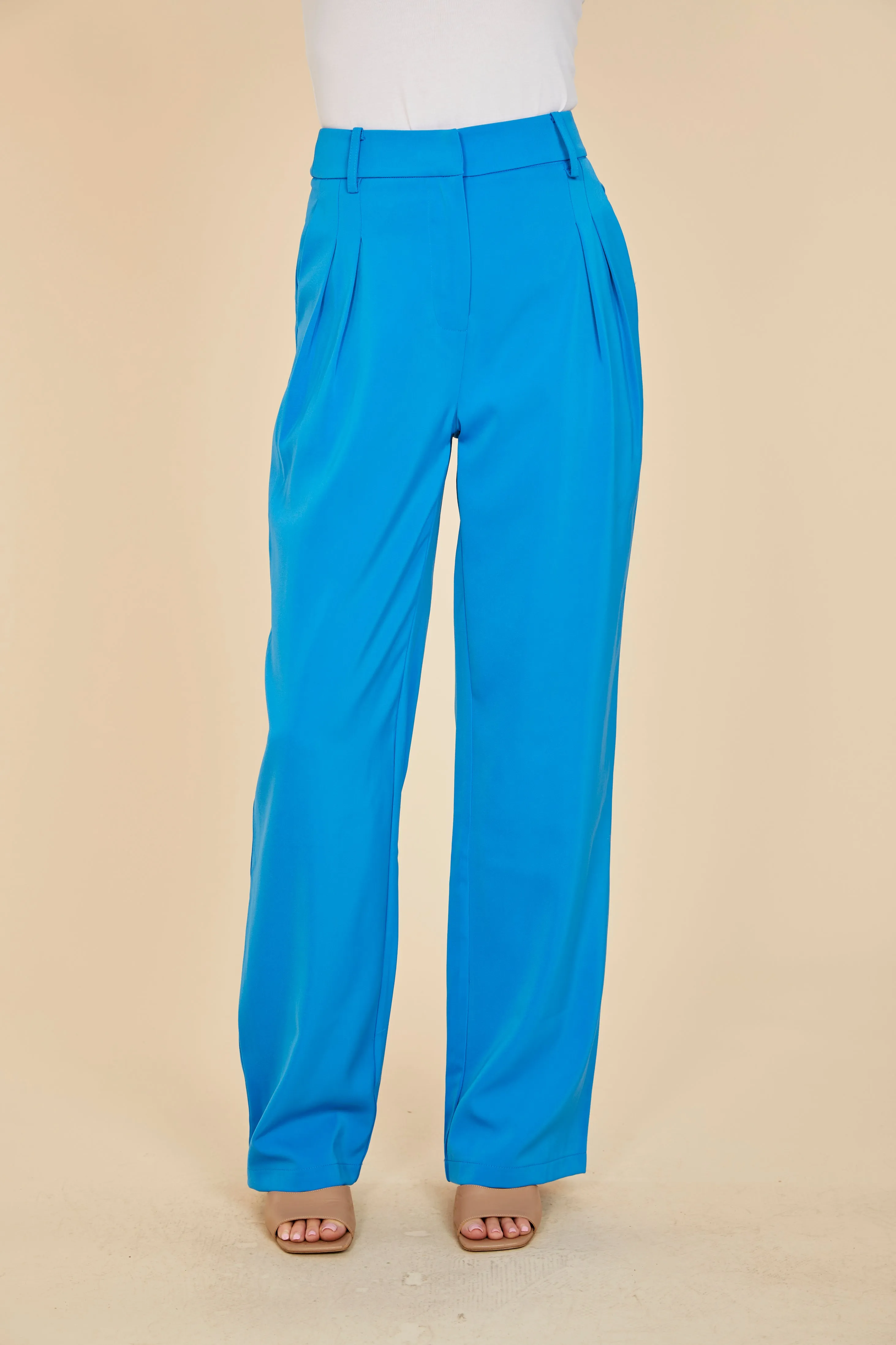 Pleated Wide Leg Trouser