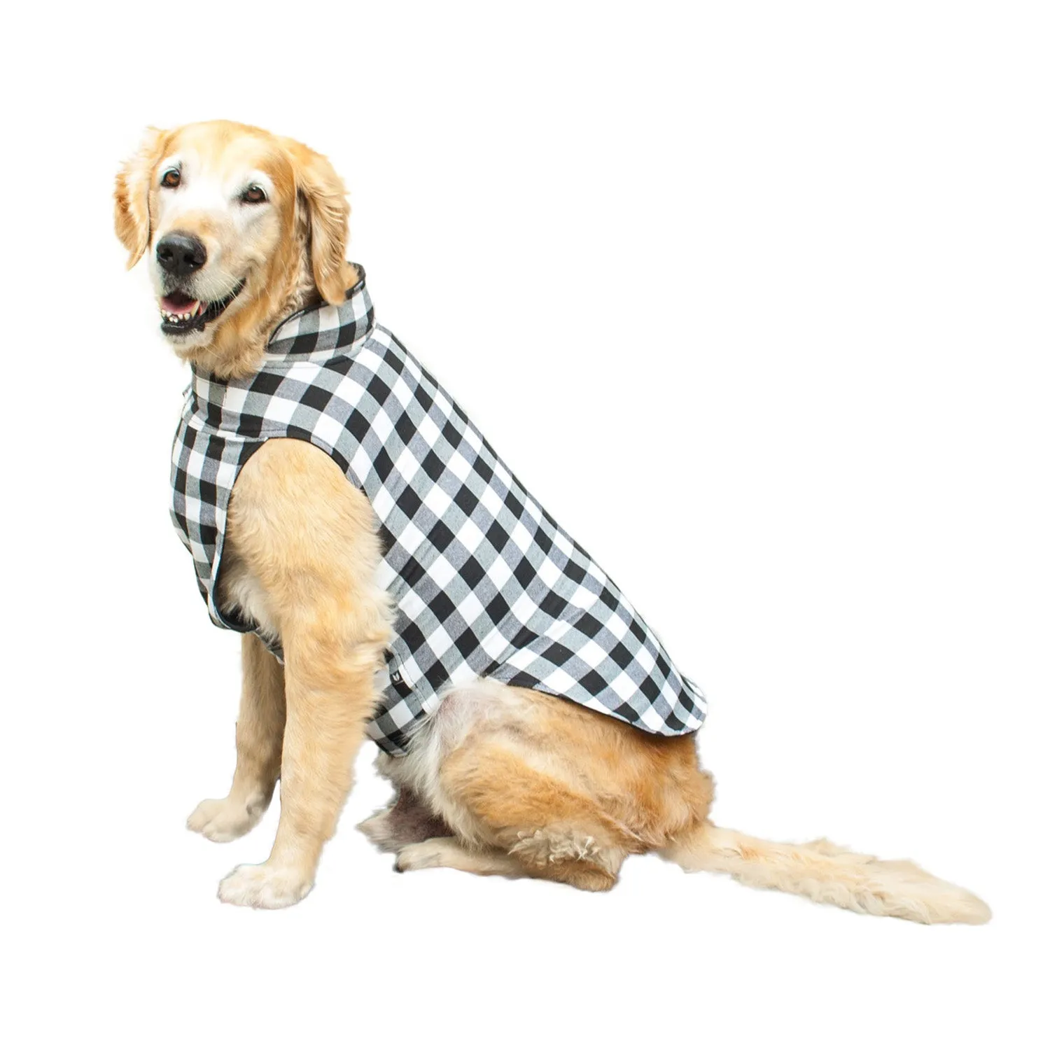 Roamer Reversible Outdoor Dog Jacket