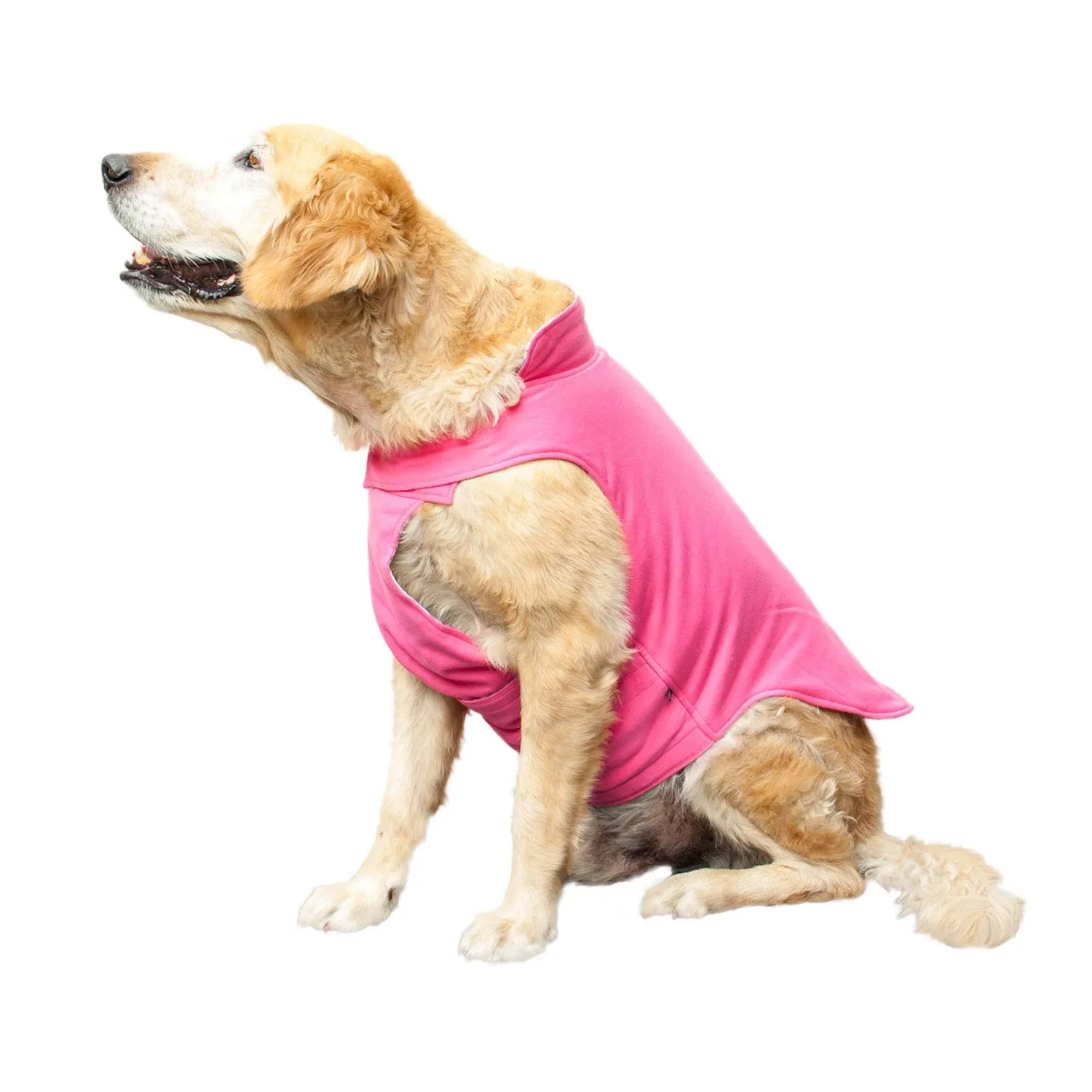 Roamer Reversible Outdoor Dog Jacket