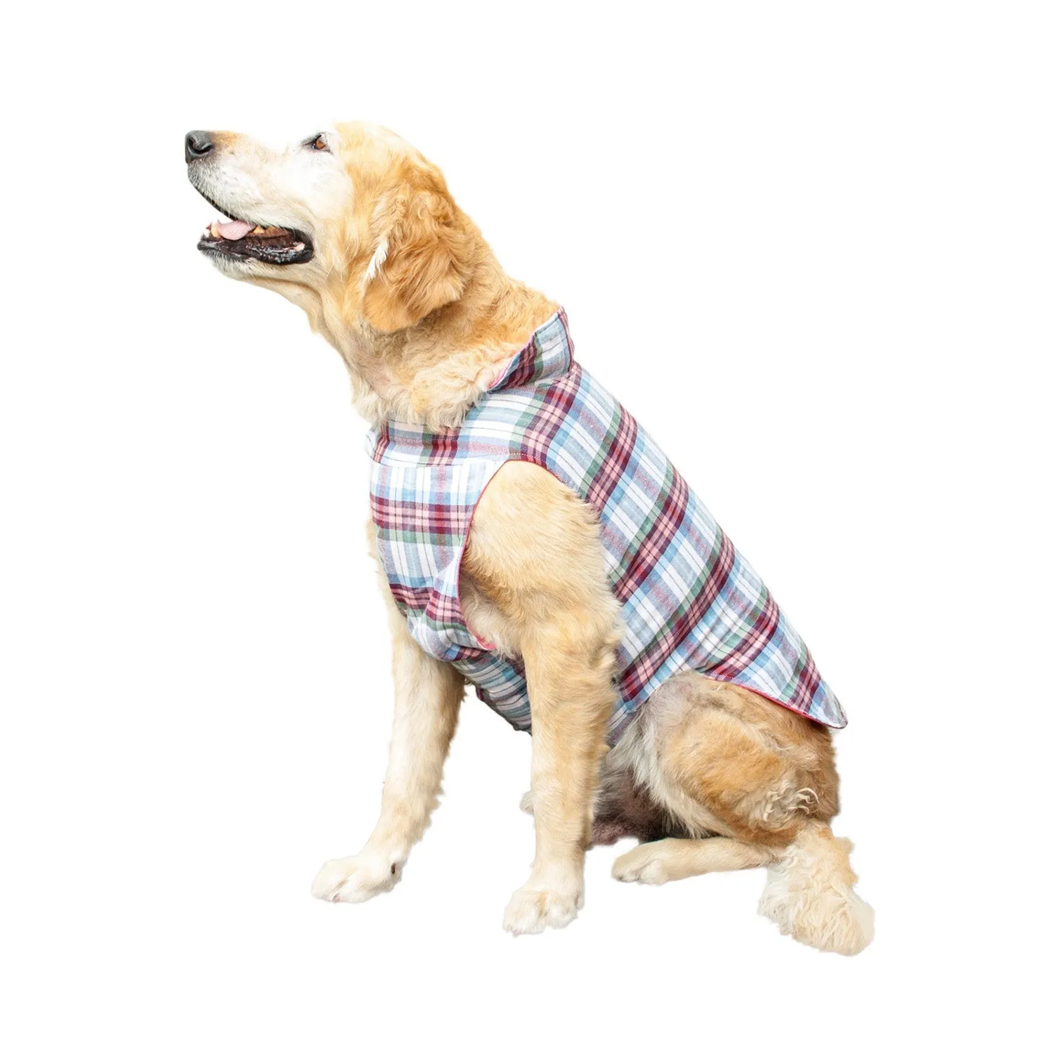 Roamer Reversible Outdoor Dog Jacket