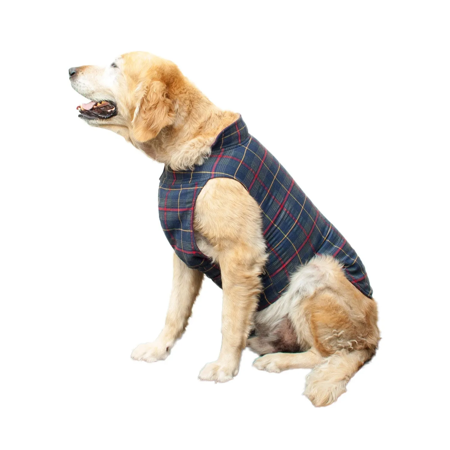 Roamer Reversible Outdoor Dog Jacket