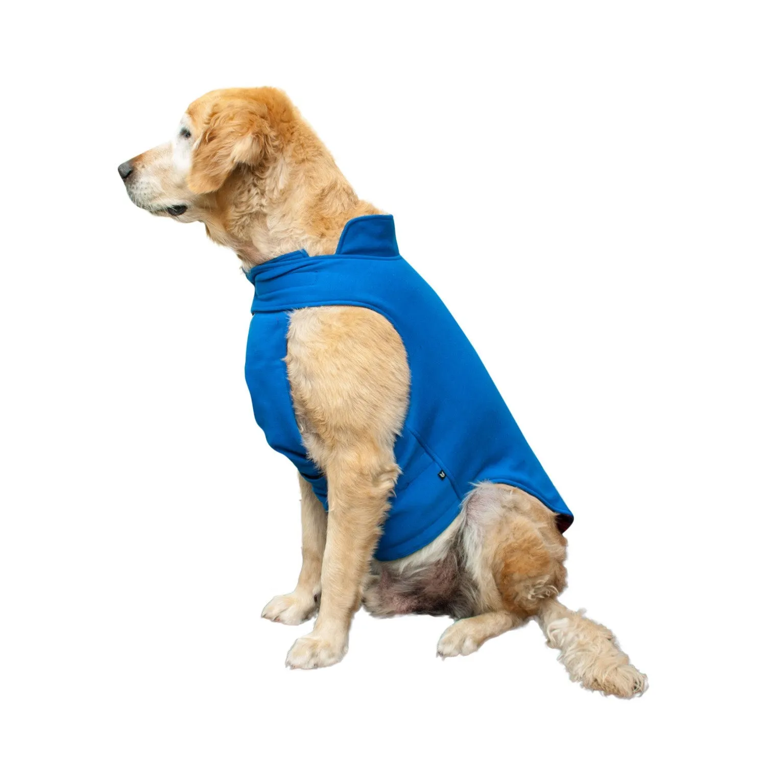 Roamer Reversible Outdoor Dog Jacket