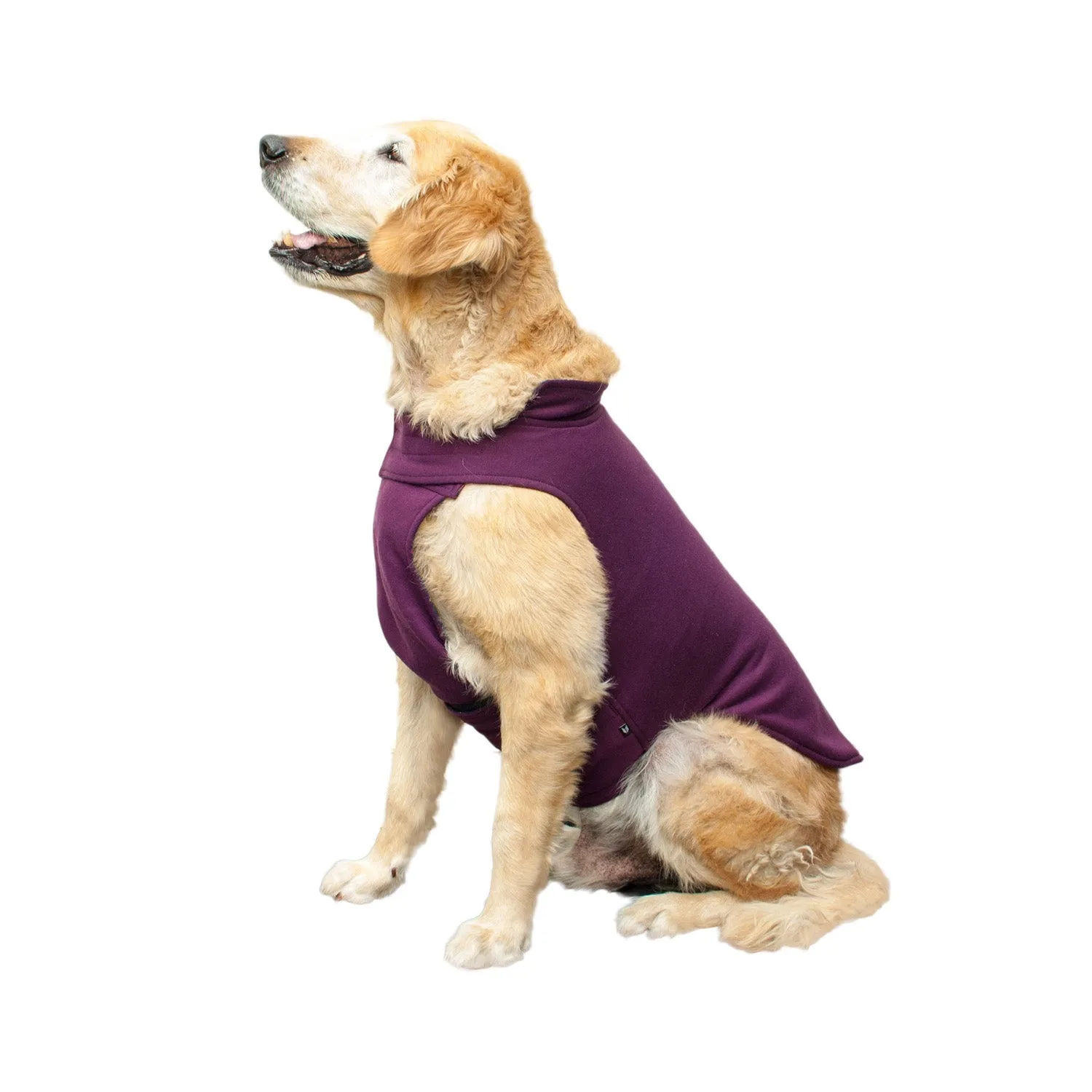 Roamer Reversible Outdoor Dog Jacket